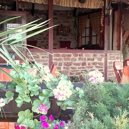 Hotel Family Zelenika *